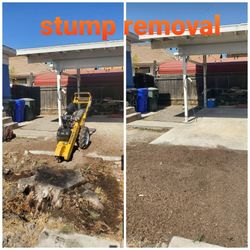 Stump Grinding Messge, Tree Messge