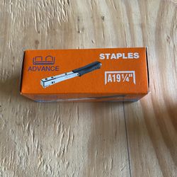 Hammer Tacker Staples