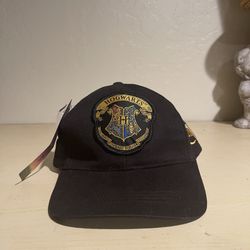 Harry Potter Hat