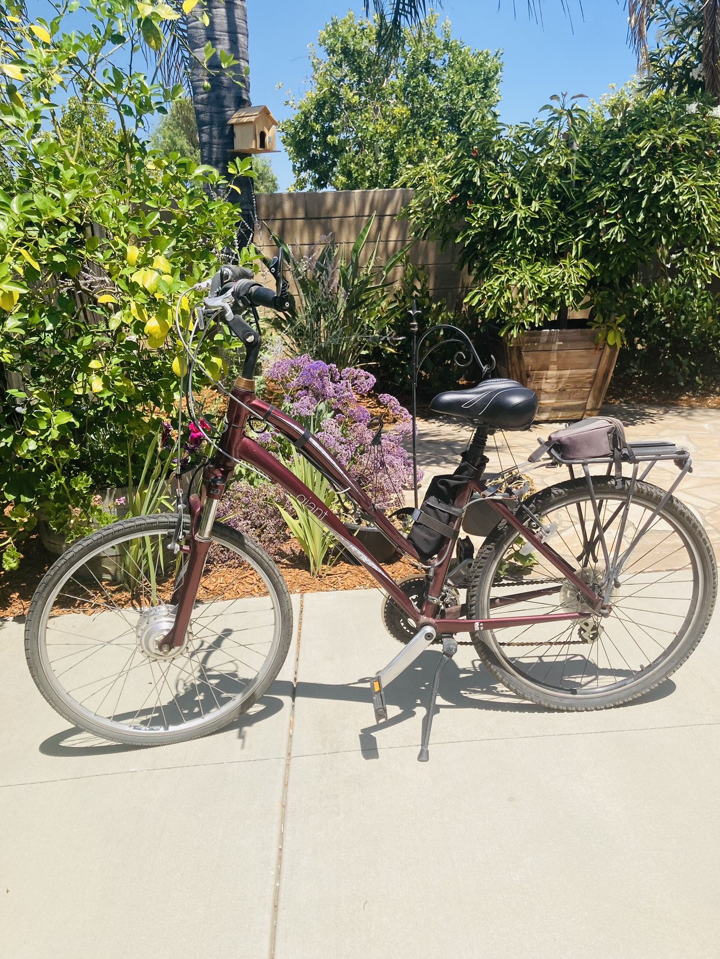 Electric Bicycle