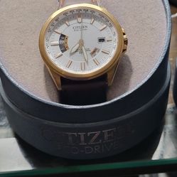 Citizen Eco Drive Discontinued Watch