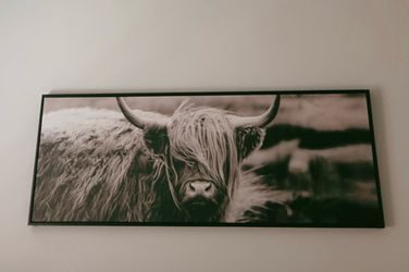 Wall canvas