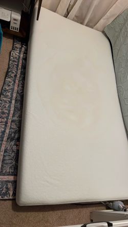 Free twin mattress