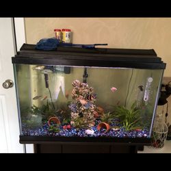 Fish Tank/aquarium