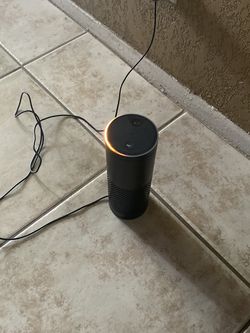 Amazon Aleza