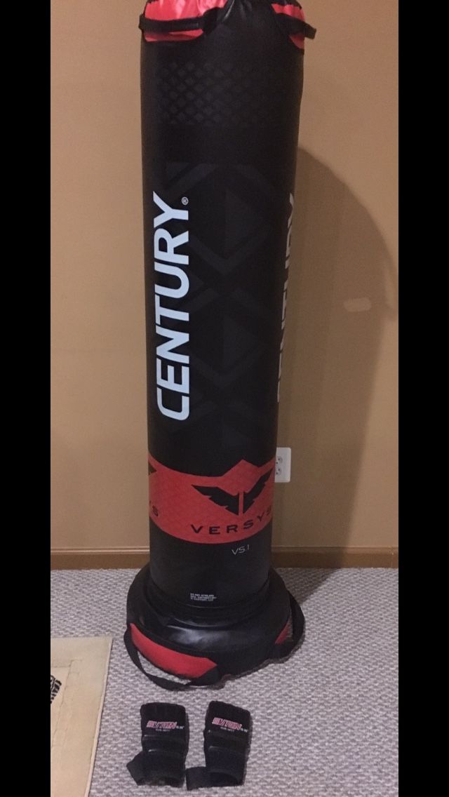 Almost New Punching Bag and Gloves