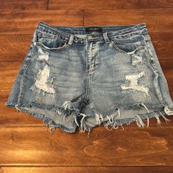 Judy Blue Shorts Size 1xl 