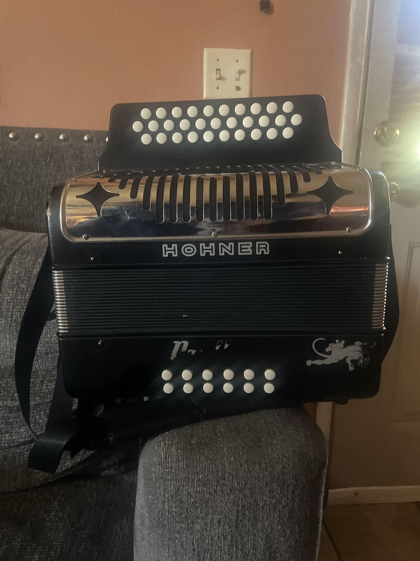 Hohner Panther Accordion