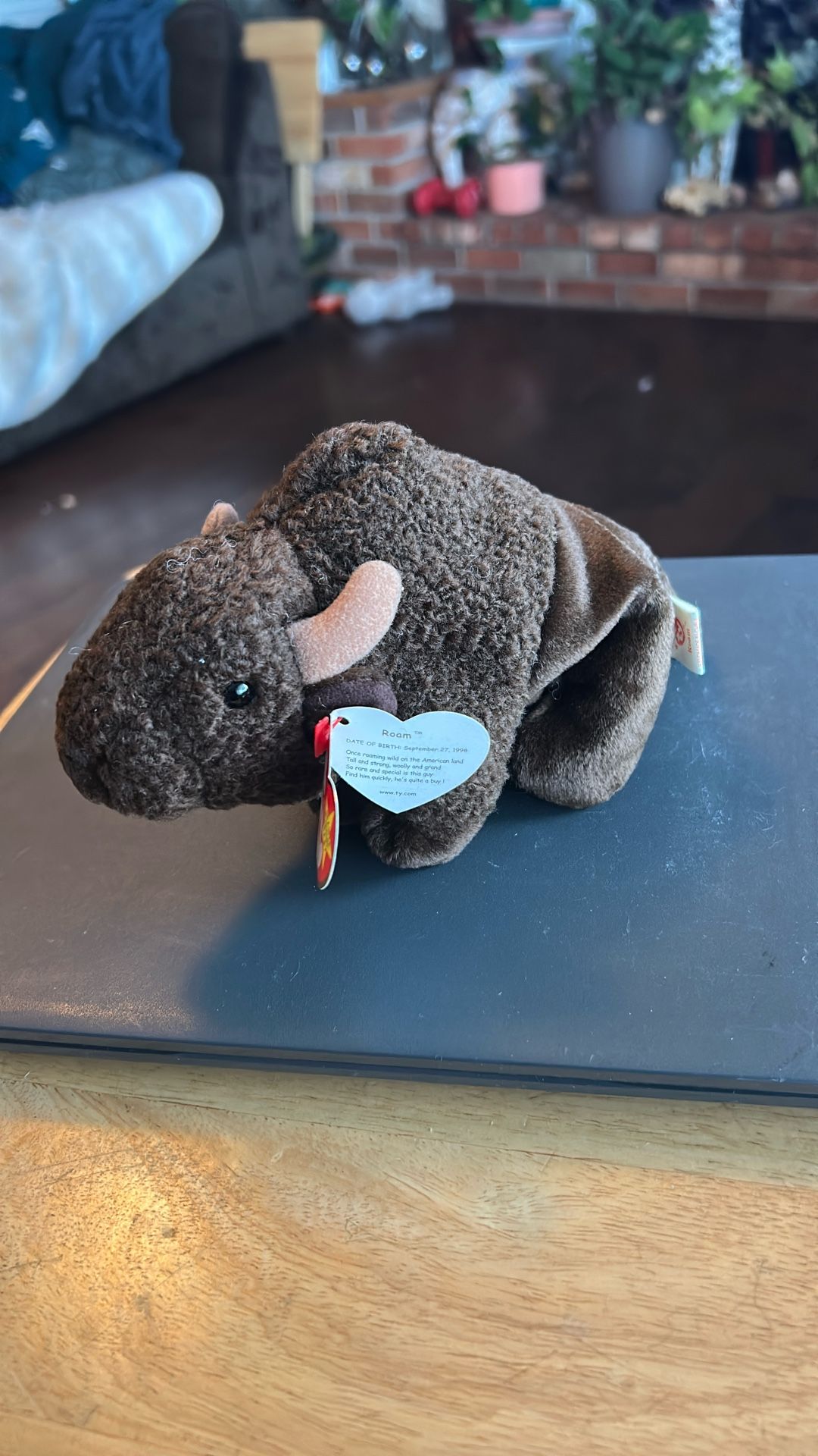‘Room’ Buffalo 1998 Beanie Baby