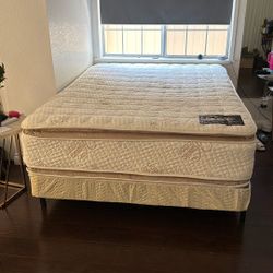Queen Sized Double Pillow Top Mattress  And Box Spring 