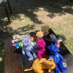 Beanie Babies!