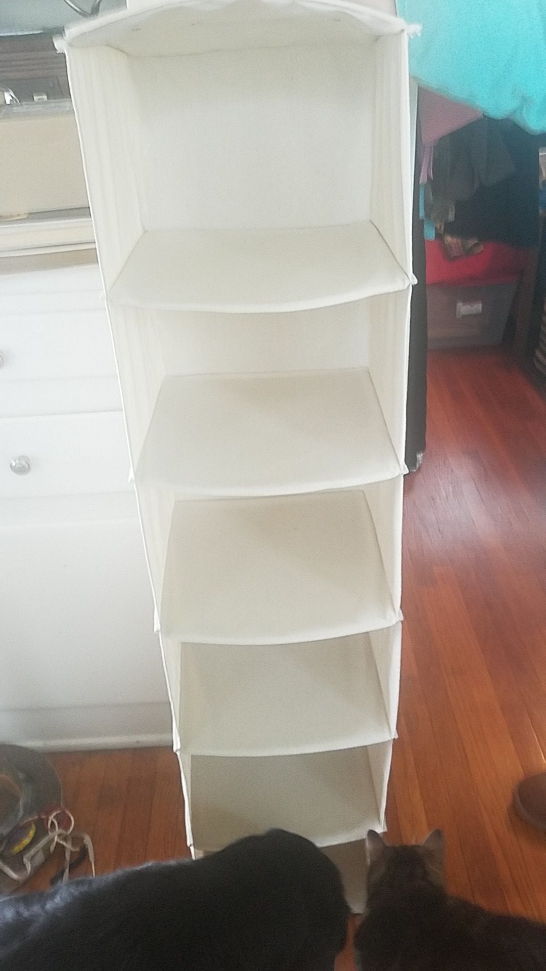 Hanging closet organizer 5.00