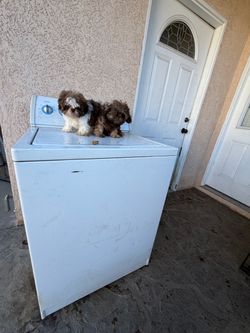 dryer     secadora