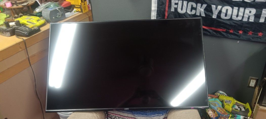 55 In Vizio Flat Screen TV