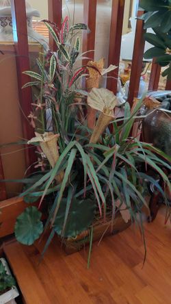 Floral arrangements