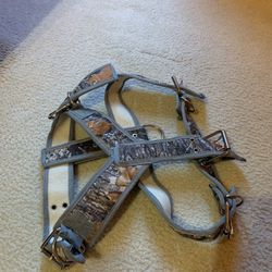 Large dog harness
