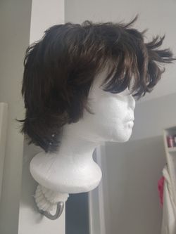 Human Hair Wig