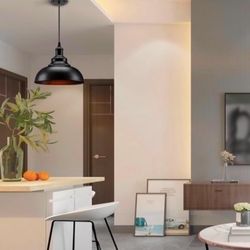 One Black Industry Pendent Light In Box