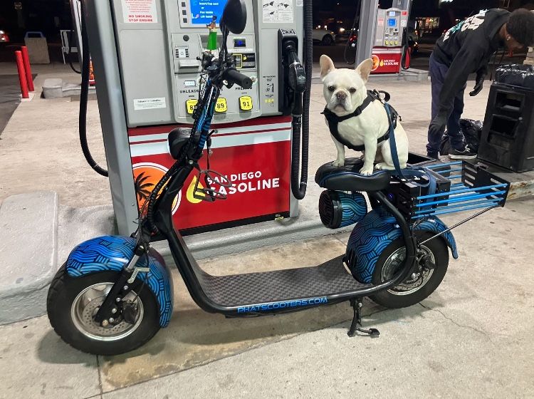 Phat Ride 1st Generation Lumilar E-Bike