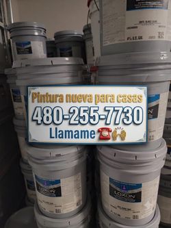 Pintura Nueva