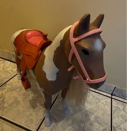 Our Generation Palomino
