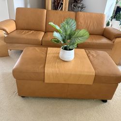 Scandinavian Design Full Couch Set 