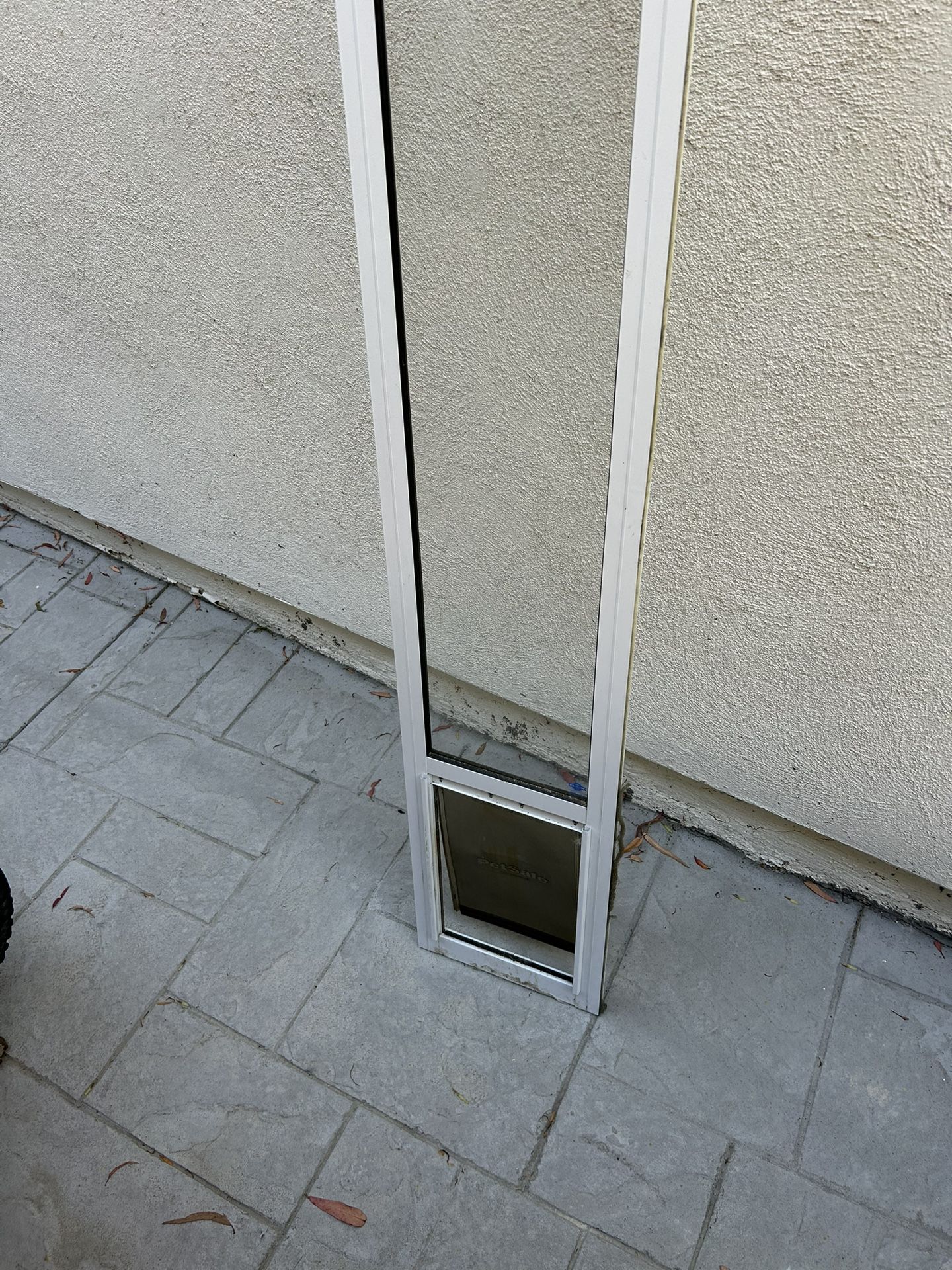 Dog Door