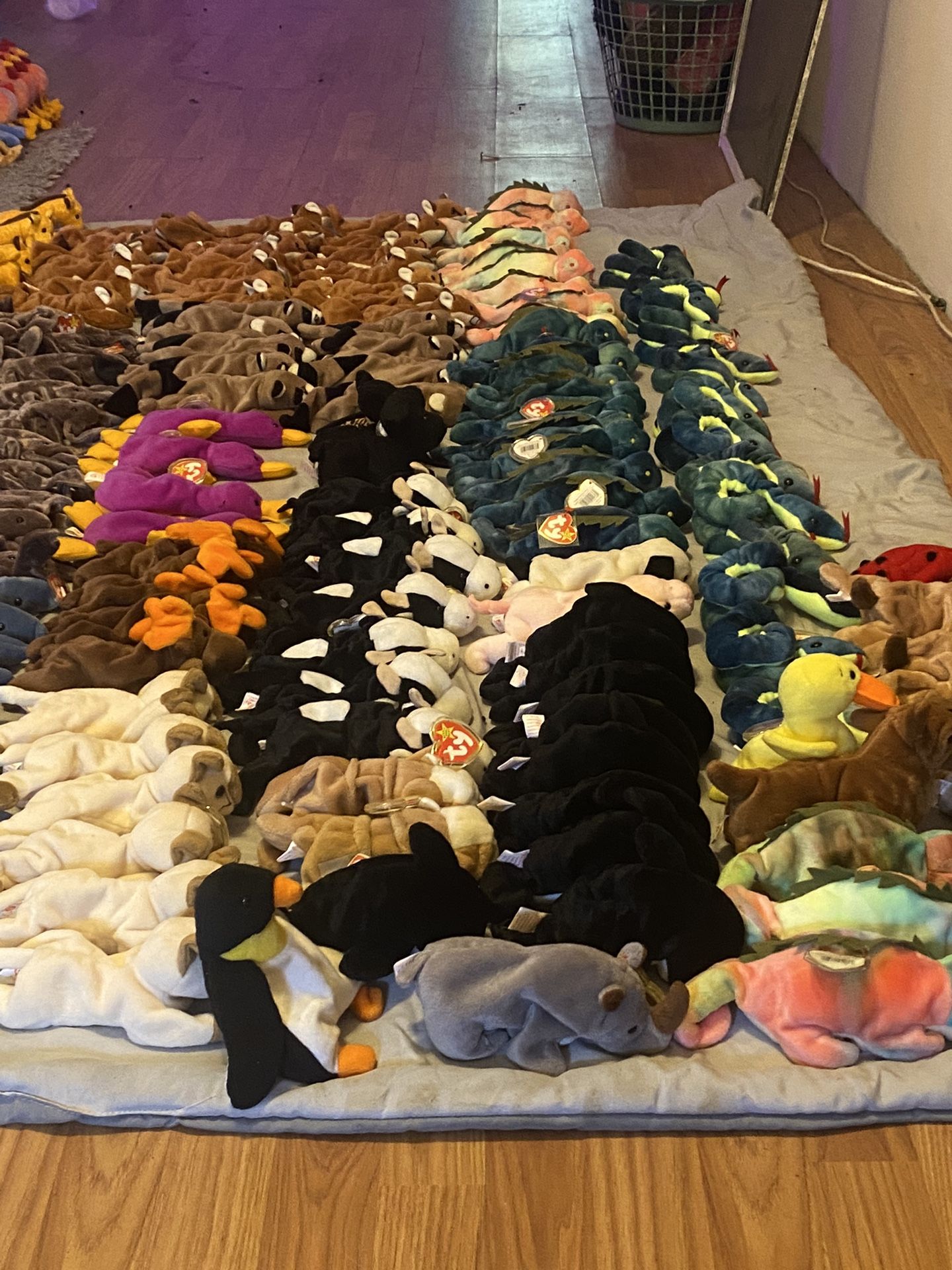 Ty Beanie Babies / Plushy / toys