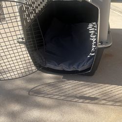 Large 36” Grreat Choice hard plastic dog crate in great condition.