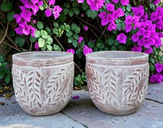 Clay pots