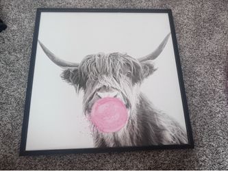 Framed cow pic