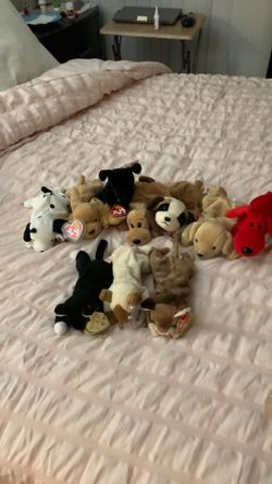 Ry Beanie Babies