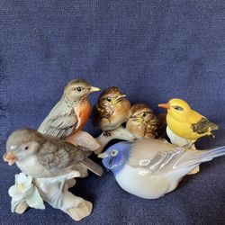 Collectable Birds