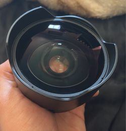 Sony Fisheye Conversion Lens