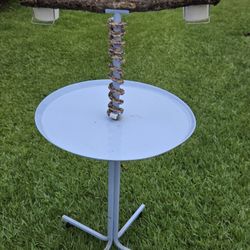 Bird Stand