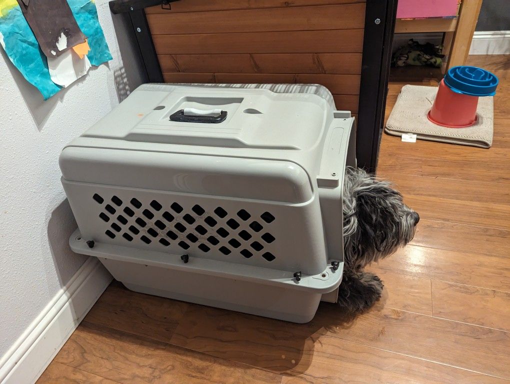 Petco XL Dog Carrier ( TSA Rater Pet Crate)