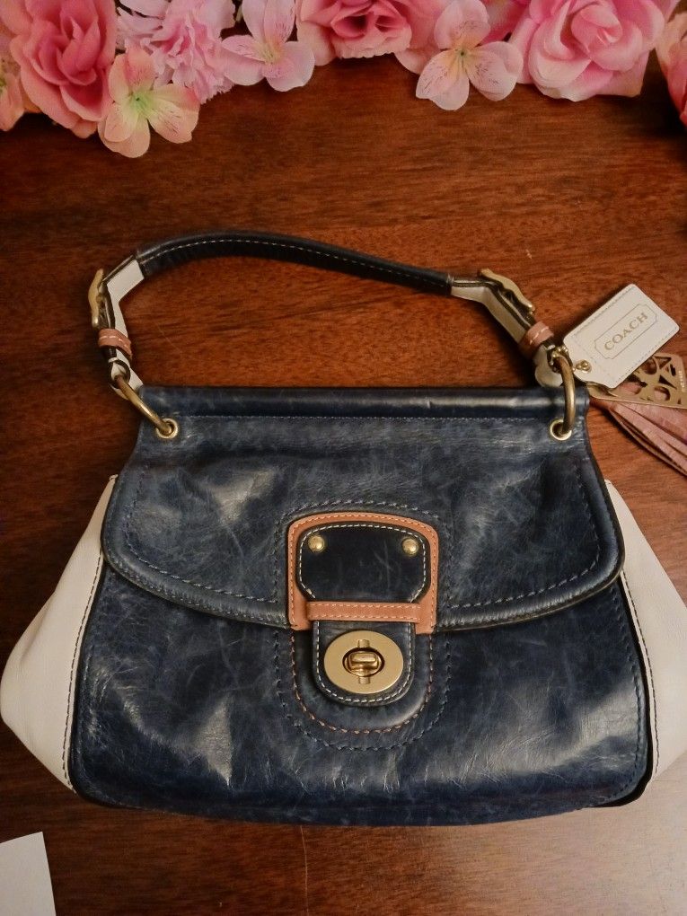 Coach Bag 9