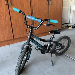 Schwinn Flywheel 16” Bicycle 