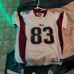 wed Welker superbowl 42 jersey
