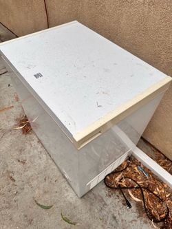 Free items
