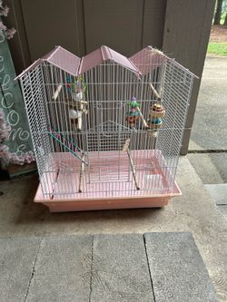 Pink and white birdcage with accessories