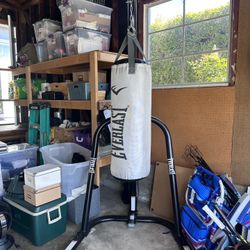 Everlast Platinum 60lb Boxing Bag With Stand And 2 Pairs Of Gloves 