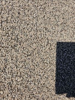 Carpet Roll