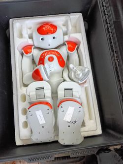 Robot