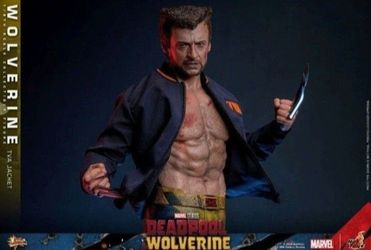 Hot Toys 🔥 Wolverine TVA Jacket