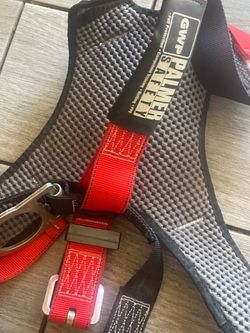 Safety harness