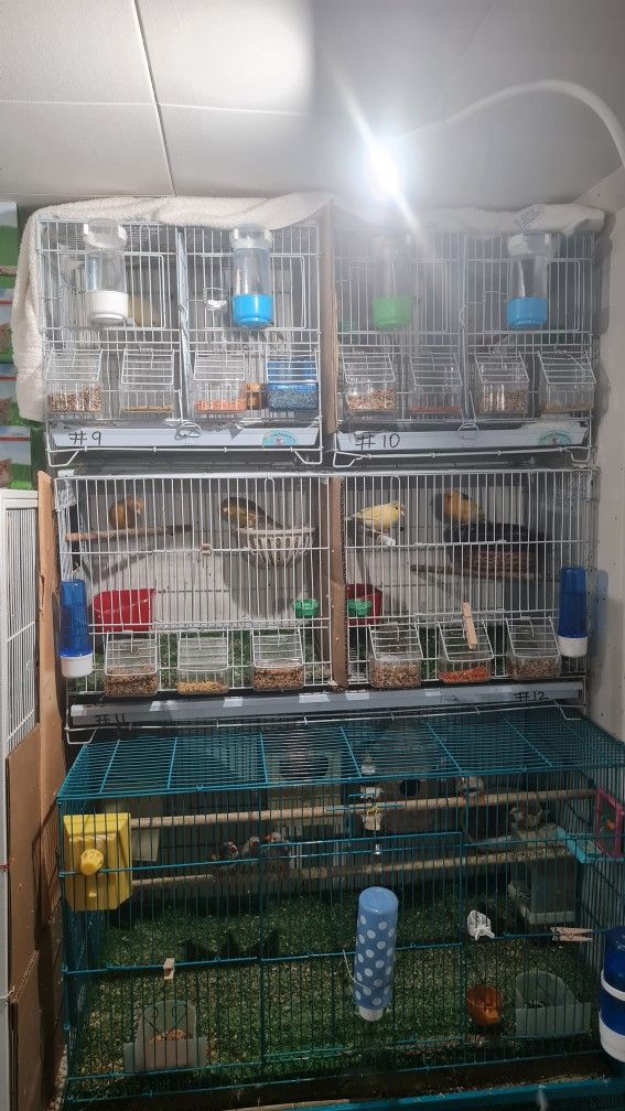 Breeding Cage