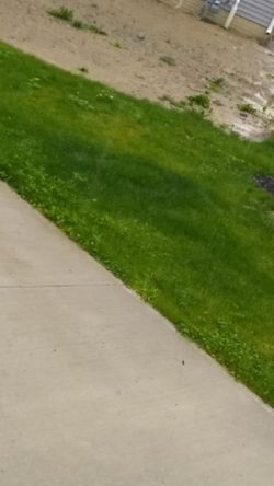 Need Anything Done Let Me Know