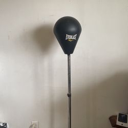 Everlast Standing Reflex Bag . 