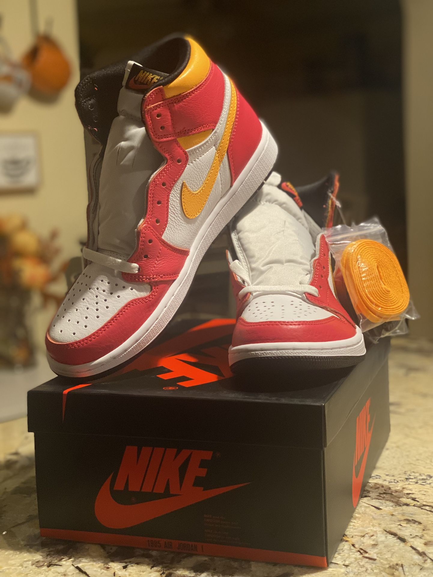 Air Jordan 1 Retro High OG Light Fusion M9